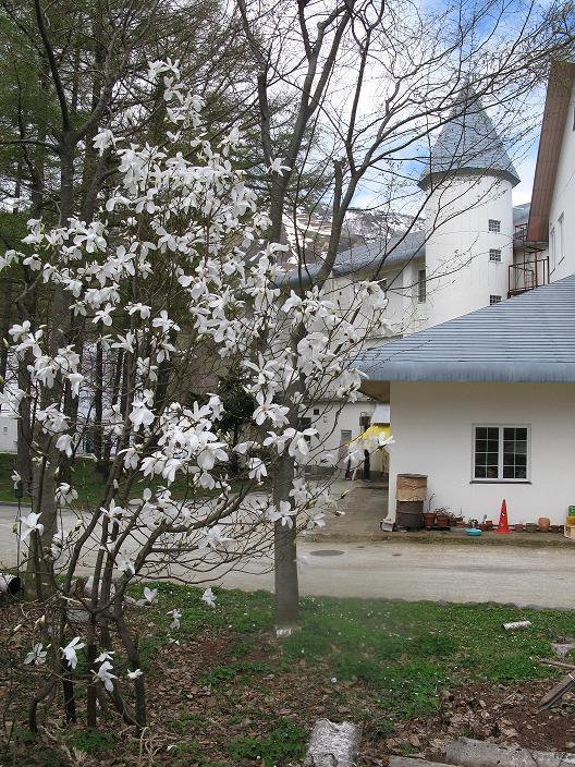 Grindelwald Yuzawa (Niigata) Ngoại thất bức ảnh